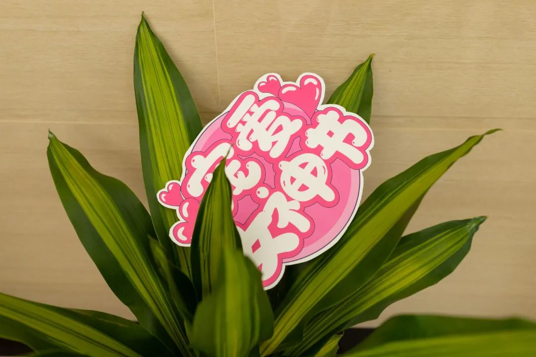 微信圖片_20230209175210.jpg 微信圖片_20230209175210.jpg